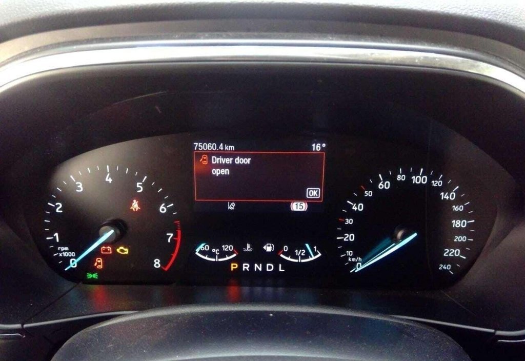 Ford Focus 2024 5