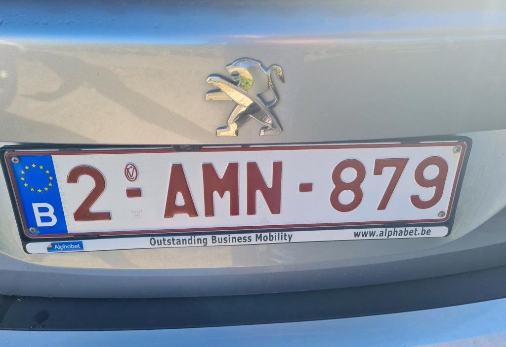 Peugeot 2008 2021 10