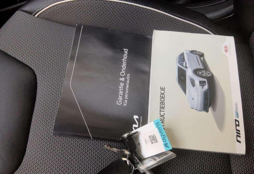 Kia Niro 2021 10