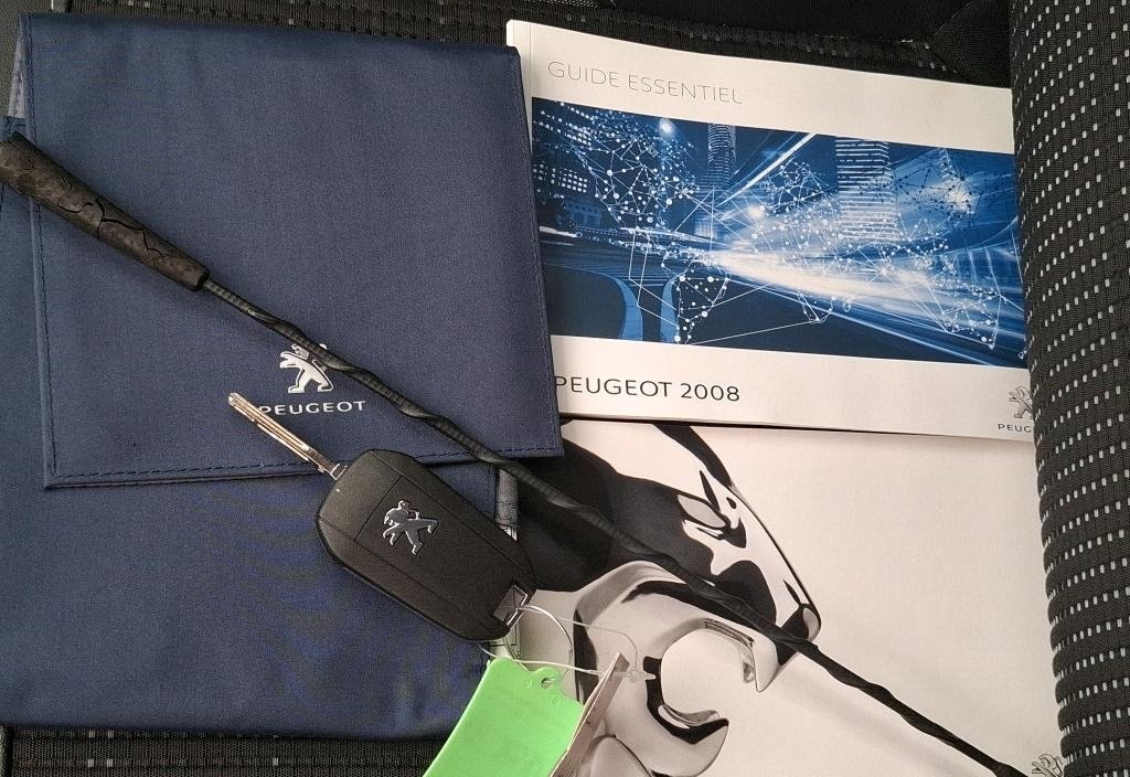 Peugeot 2008 2019 12