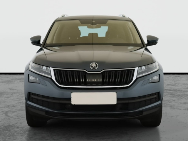 Škoda Kodiaq 2.0 TDI 4x4 2019 2