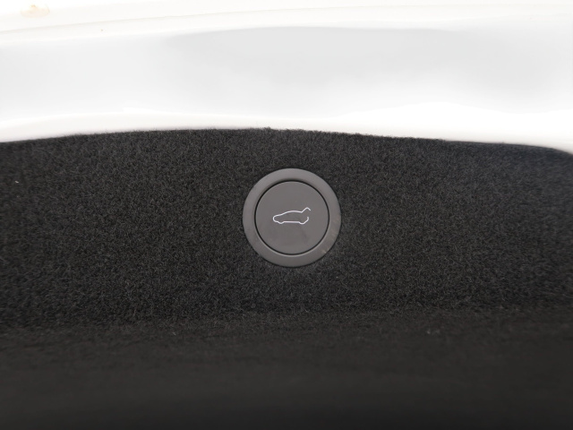 Tesla Model 3 Standard Range LFP 2024 20