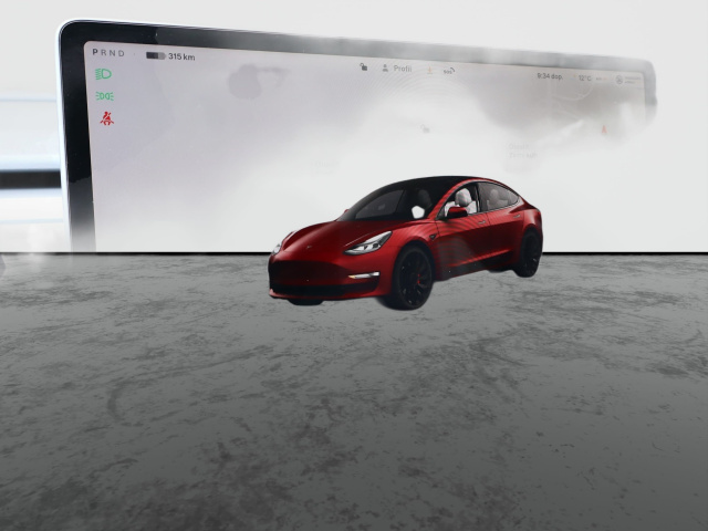 Tesla Model 3 Performance 79kWh 2022 19