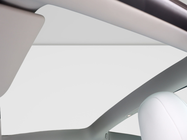 Tesla Model 3 Performance 79kWh 2022 24