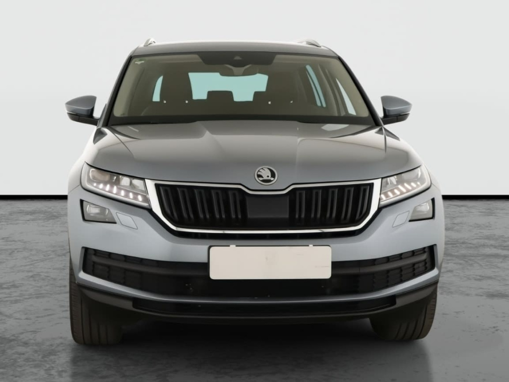 Škoda Kodiaq 2.0 TDI 4x4 2019 2