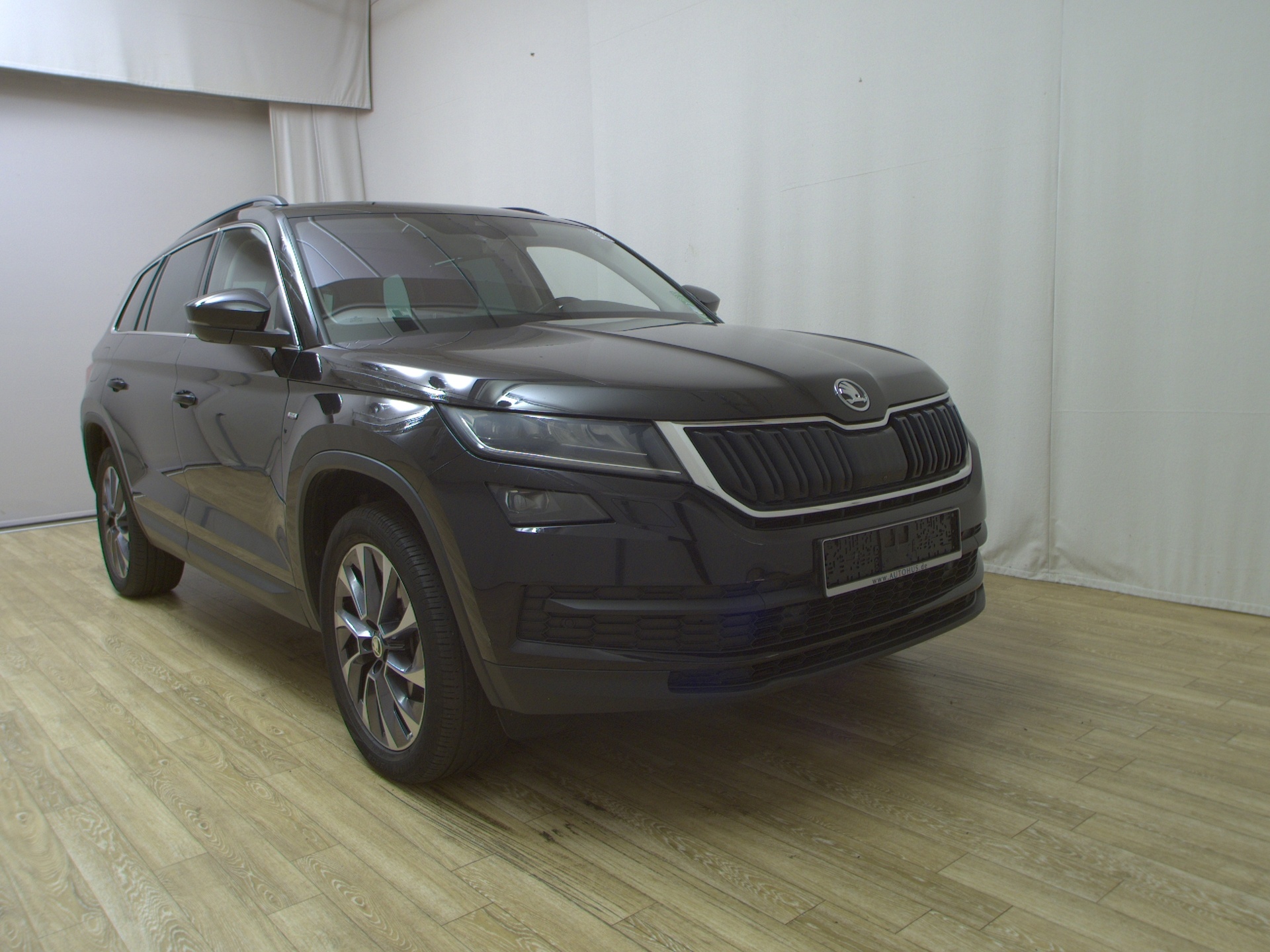 Skoda Kodiaq 2.0 TDI 4x4 Drive Navi LED Shz Canton AHK 360° 3