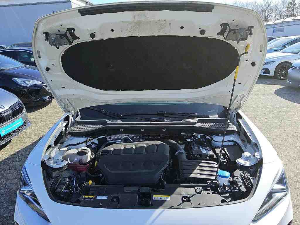 Cupra Formentor 2.0 TSI Navi LED vc 10