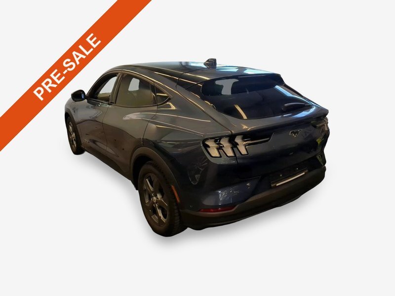 Ford Mustang Mach-E Navi LED Pano Leder RFK 4