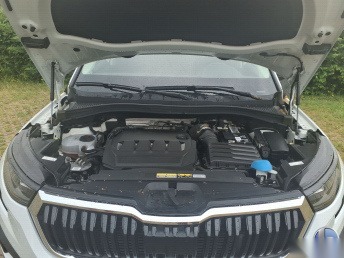 Skoda Kodiaq 2.0 TDI Ambition Navi LED Virtual AHK RFK 11
