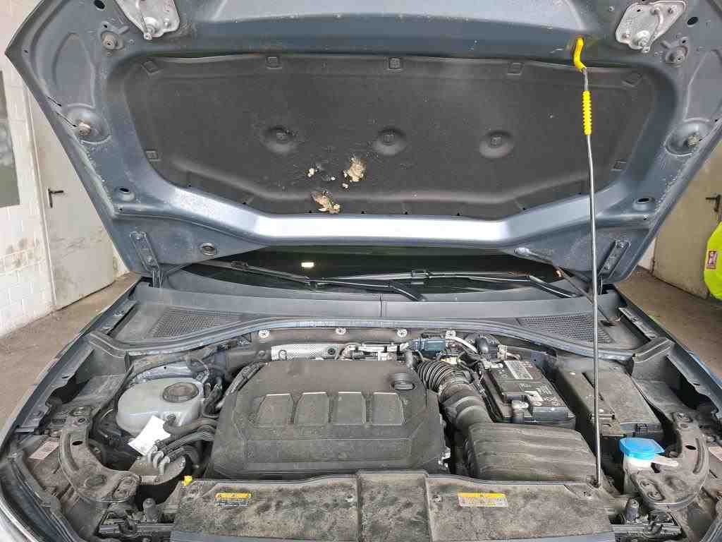 Volkswagen T-Roc 2.0 TDI Active RFK SHZ 11