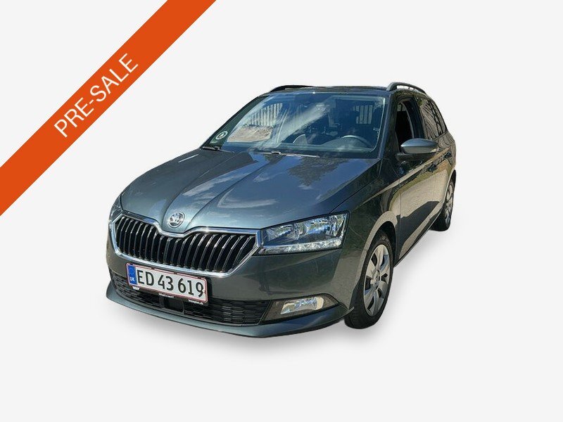 Skoda Fabia 1.0 TSI Ambition SHZ PDC KAMERA 2