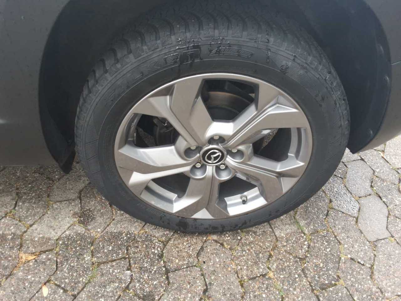 Mazda MX-30 e-Skyactiv NAVI KLIMAAUT LED RADIO AID 12