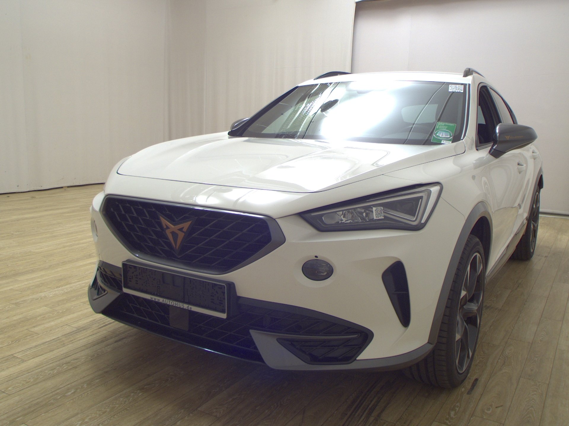 Cupra Formentor 2.0 TDI 4Drive LED Virtual PDC Shz 2
