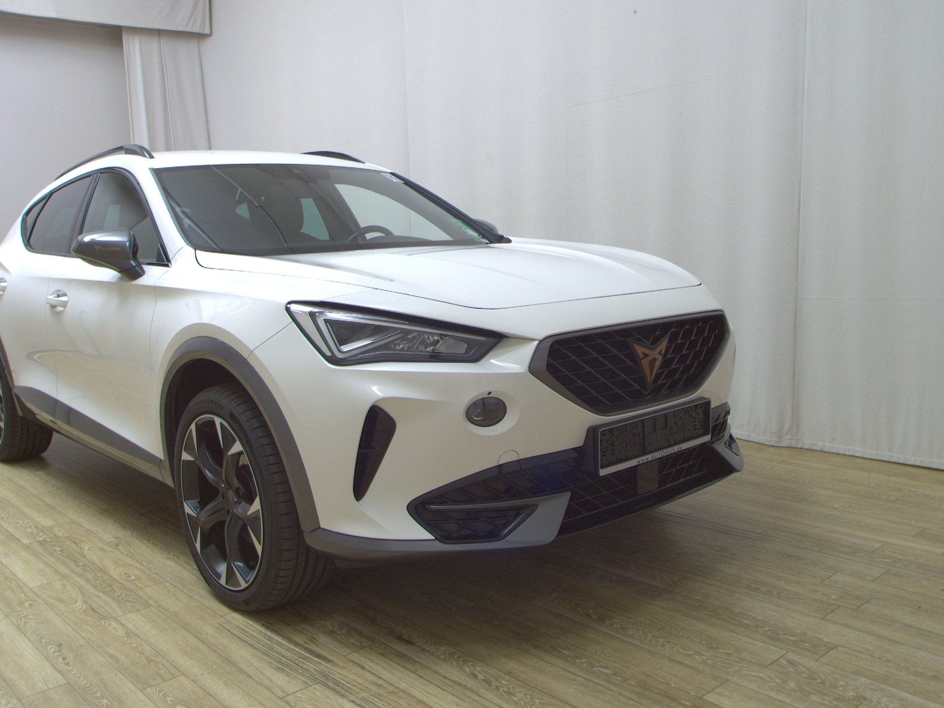 Cupra Formentor 2.0 TDI 4Drive LED Virtual PDC Shz 3