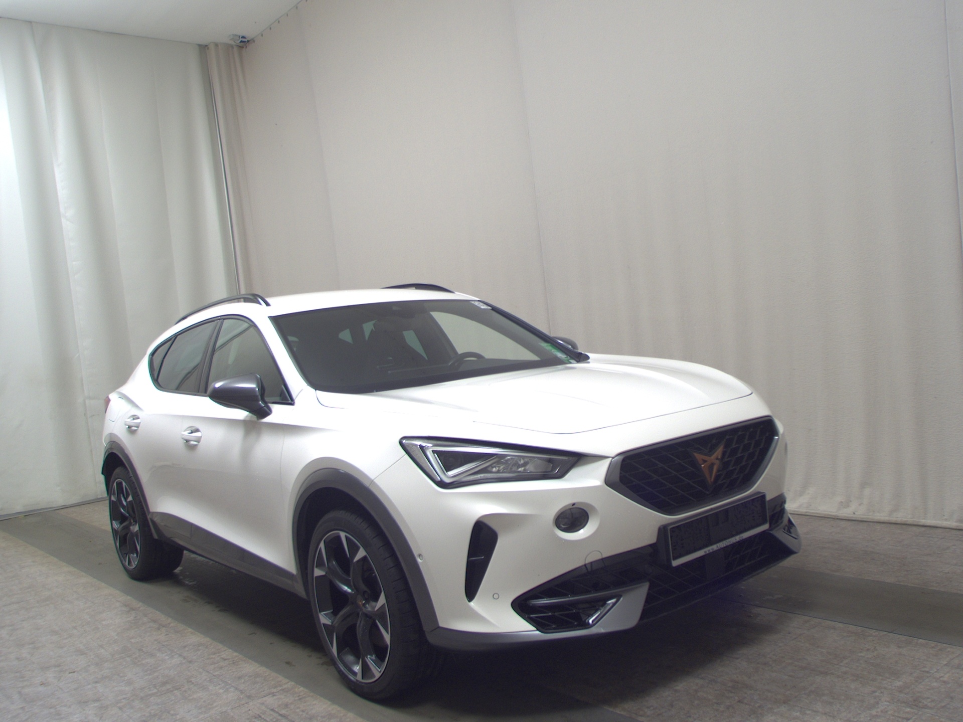 Cupra Formentor 2.0 TSI 4Drive VZ Navi LED AHK Beats 3