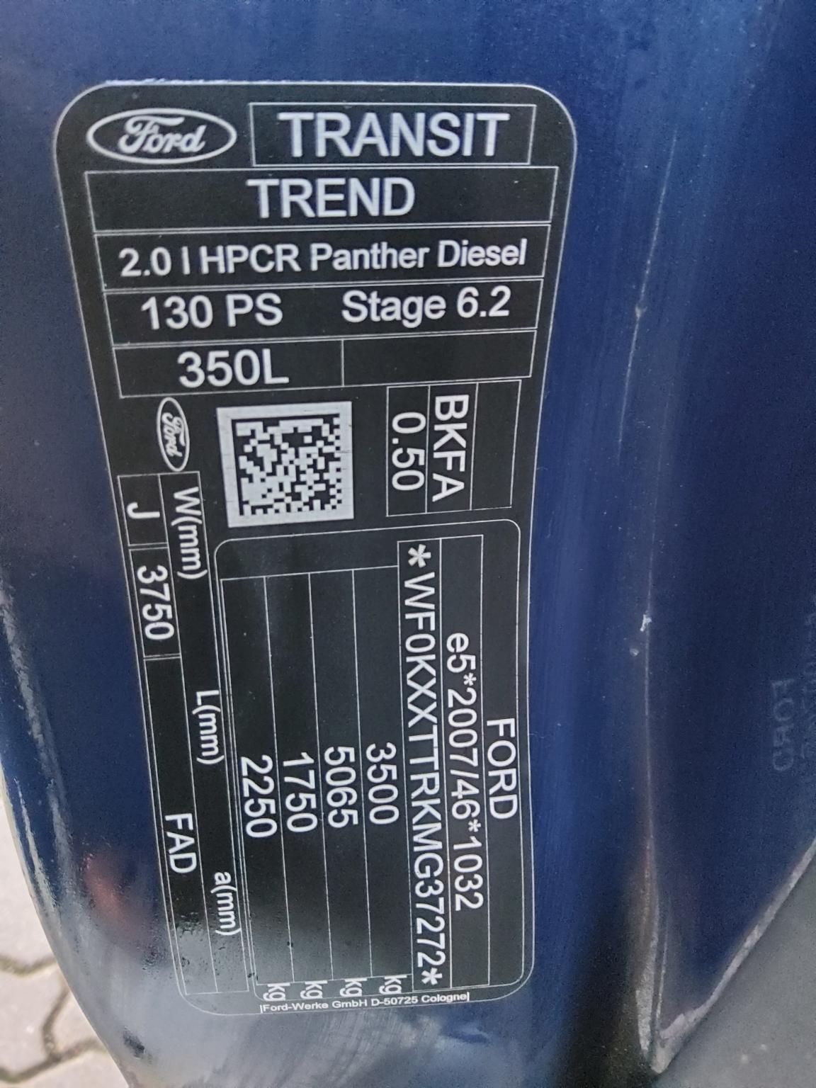 Ford Transit 2.0 TDCi Trend L3H2 9-Sitze Navi Shz DAB 13