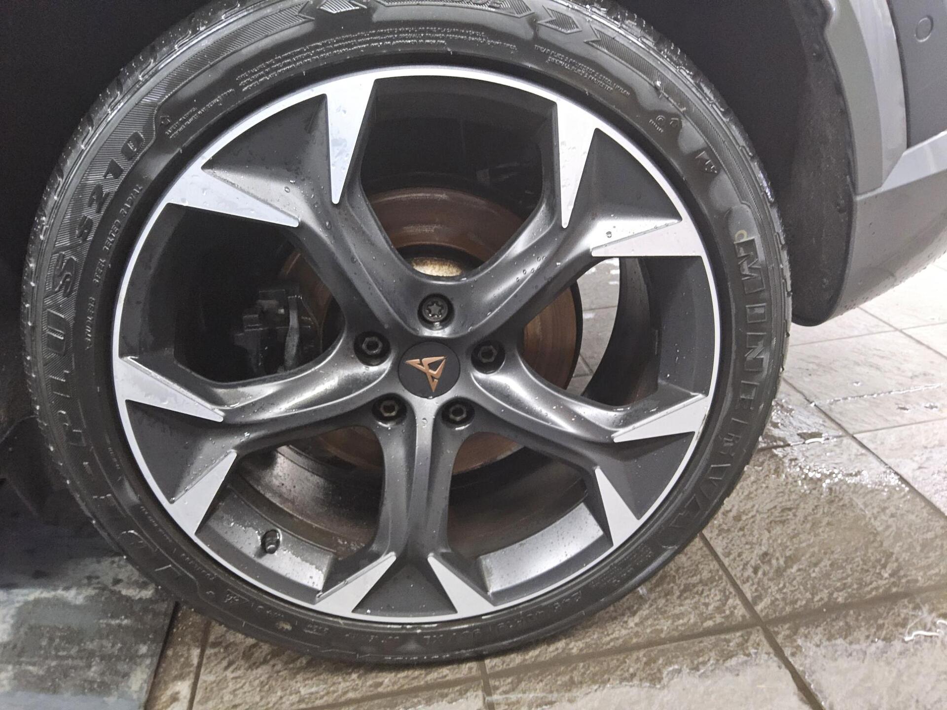 Cupra Formentor 2.0 TSI 4Drive Navi LED RfK ACC Memory 11