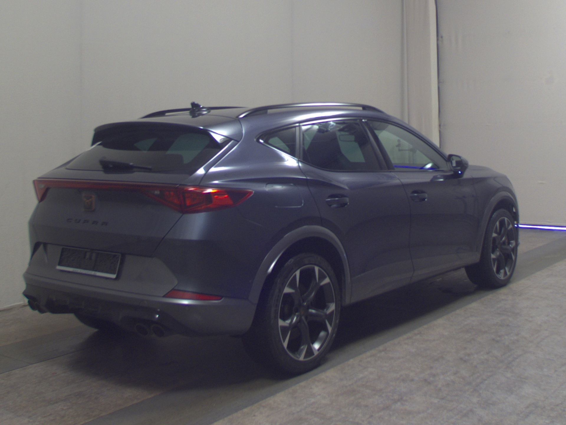 Cupra Formentor 2.0 TSI 4Drive Navi LED RfK ACC Memory 4