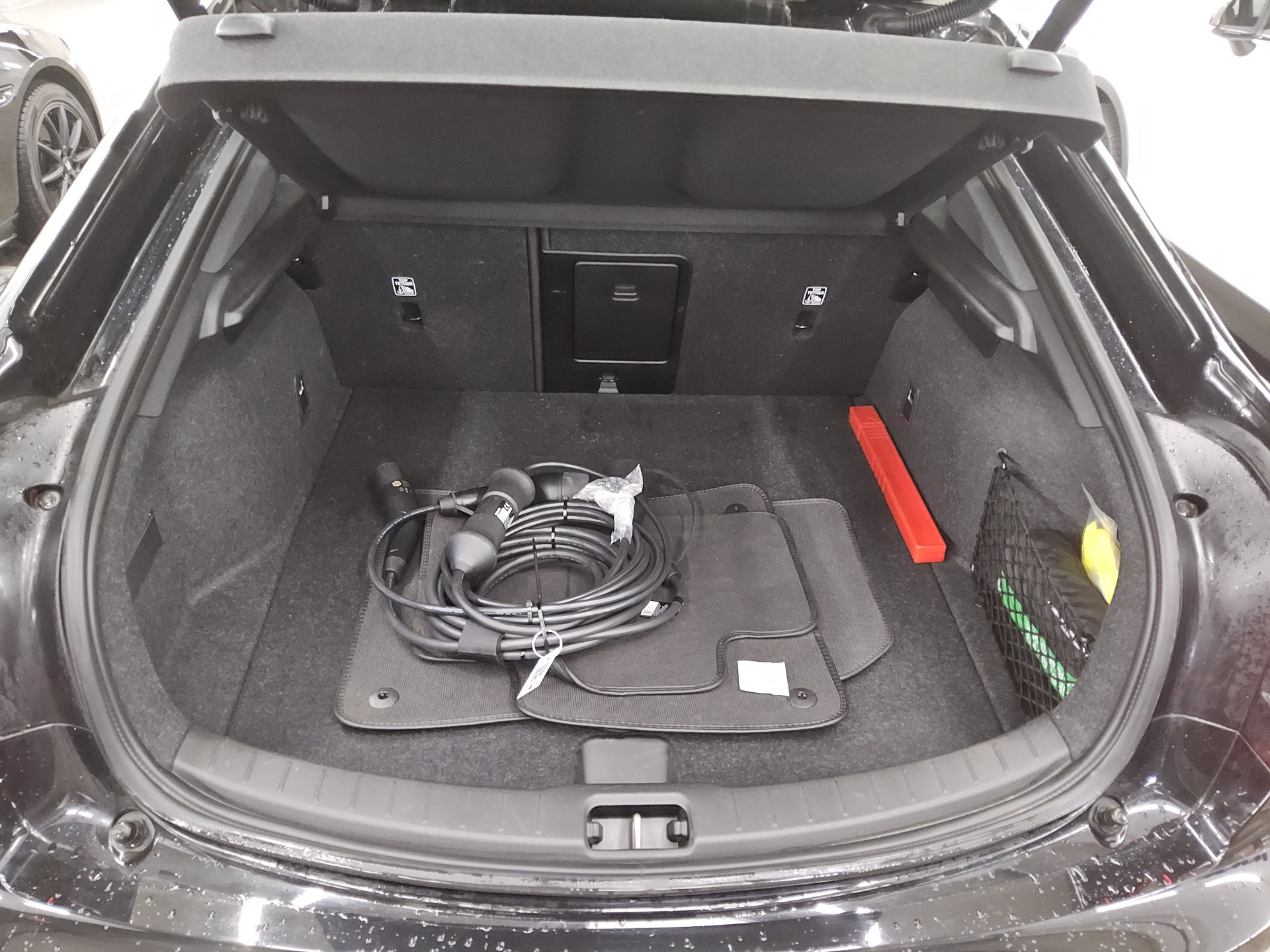 Polestar 2 Standard Range Navi LED Rückfahrkamera BT 12