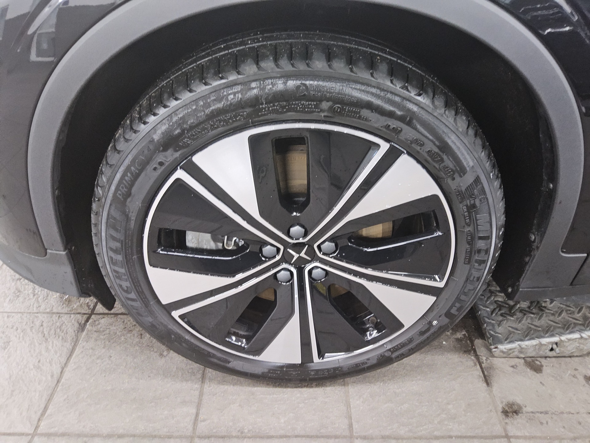 Polestar 2 Standard Range Navi LED Rückfahrkamera BT 11