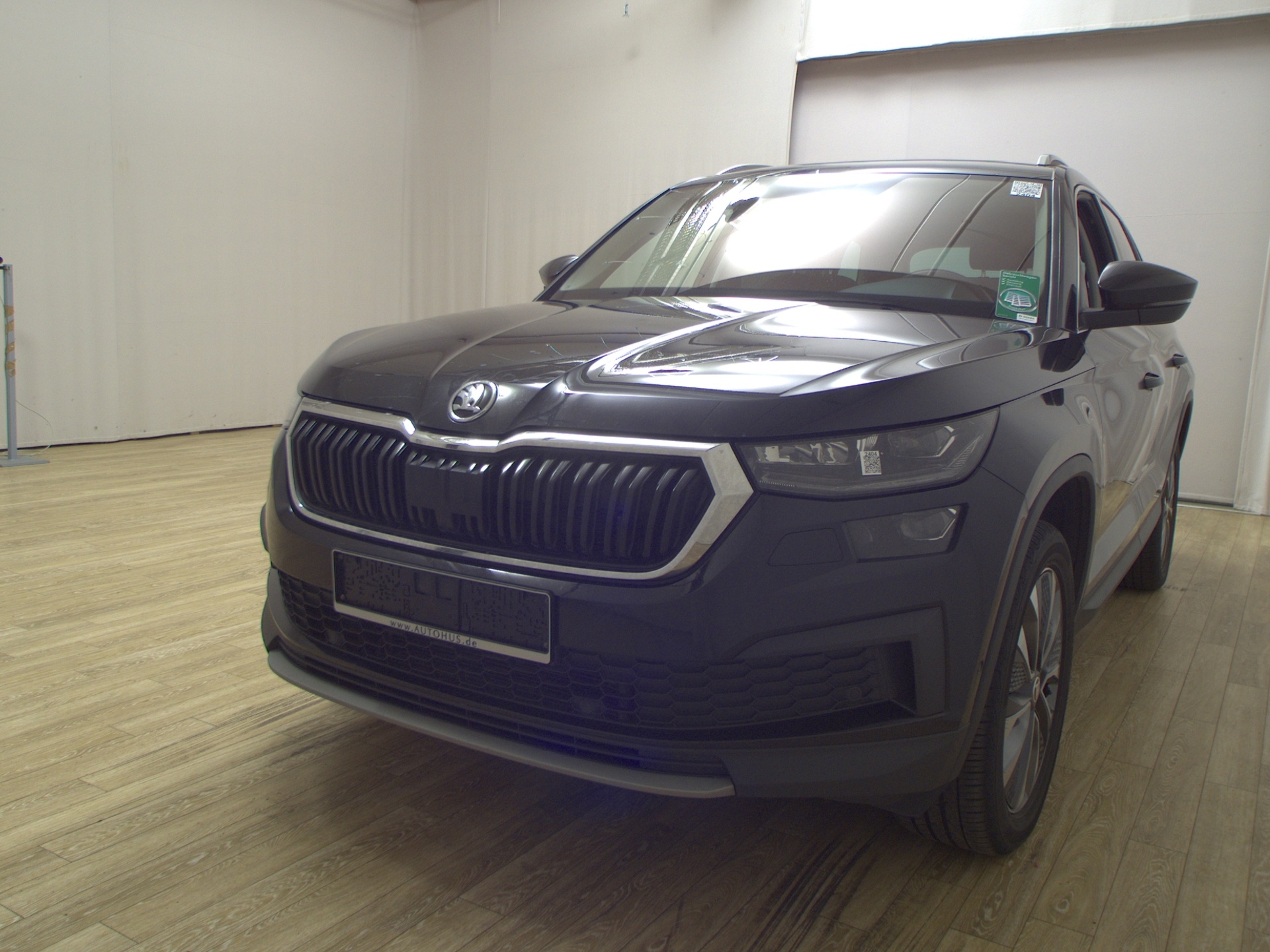 Skoda Kodiaq 2.0 TDI 4x4 Tour Pano vc StandHzg DCC AHK 2