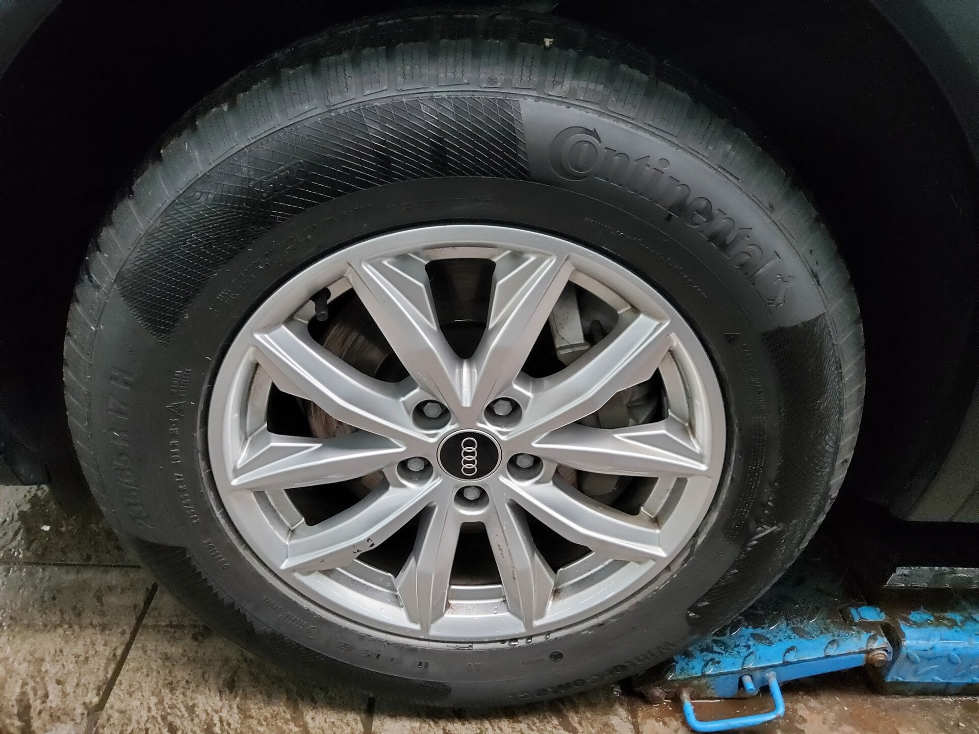 Audi Q5 40 TDI Qu. Navi Matrix Virtual Kamera 11