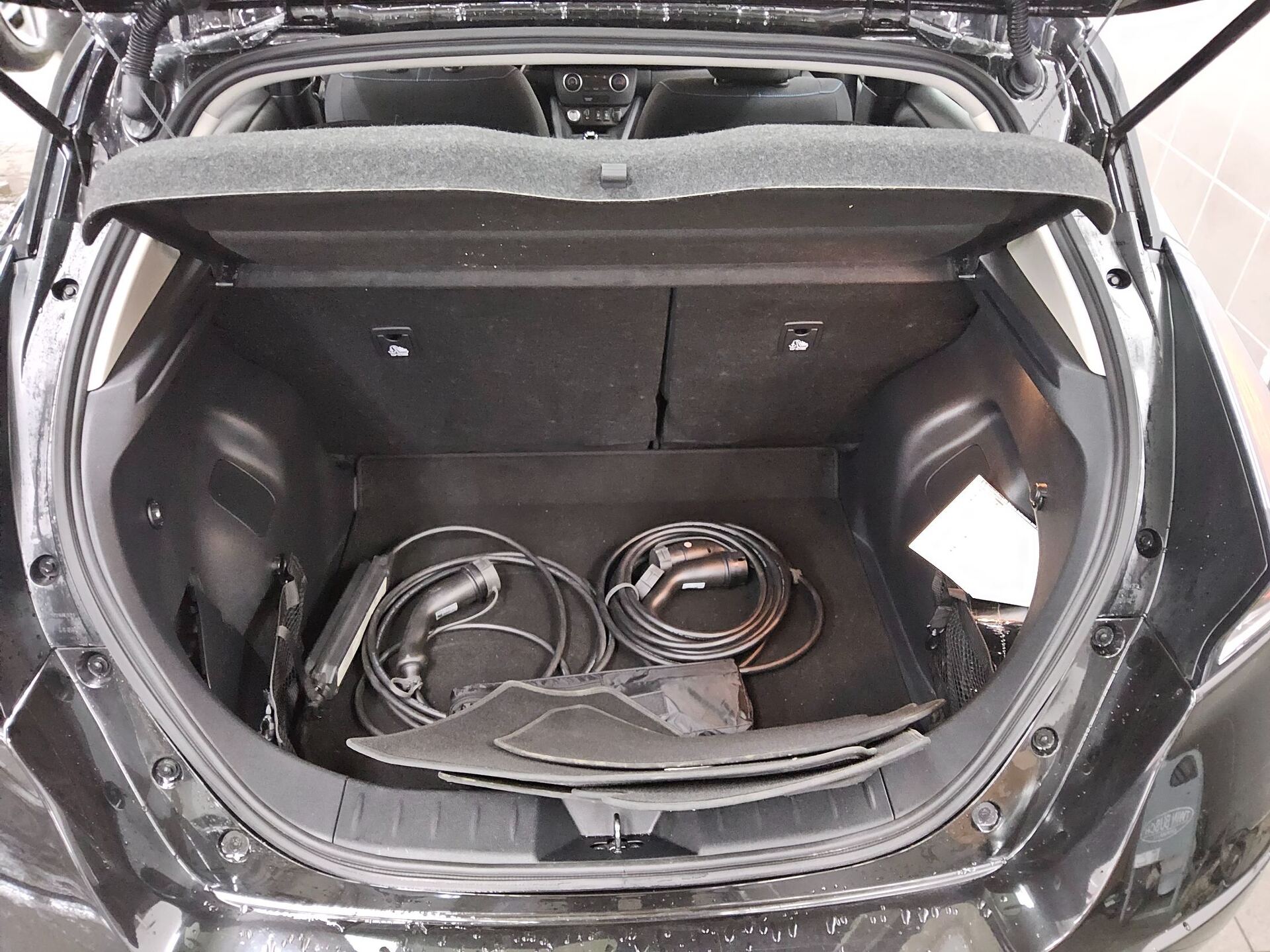 Nissan Leaf Shz RFK 11