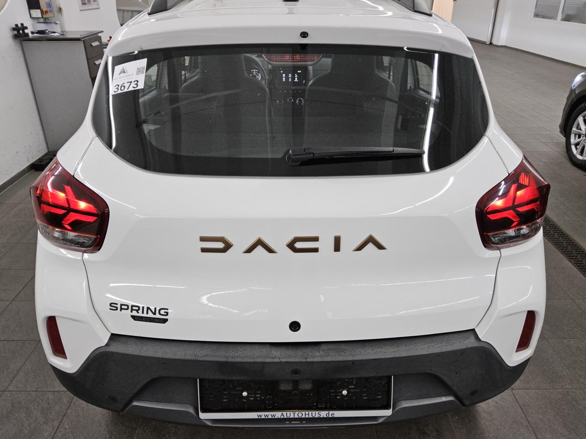 Dacia Spring Electric T-Leder 10
