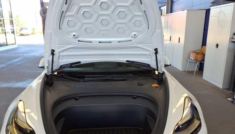 Tesla Model 3 Standard Range 9