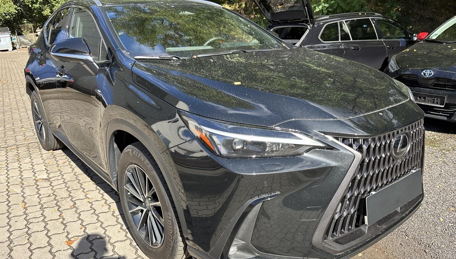 Lexus NX 450 h+ E-Four Executive 9