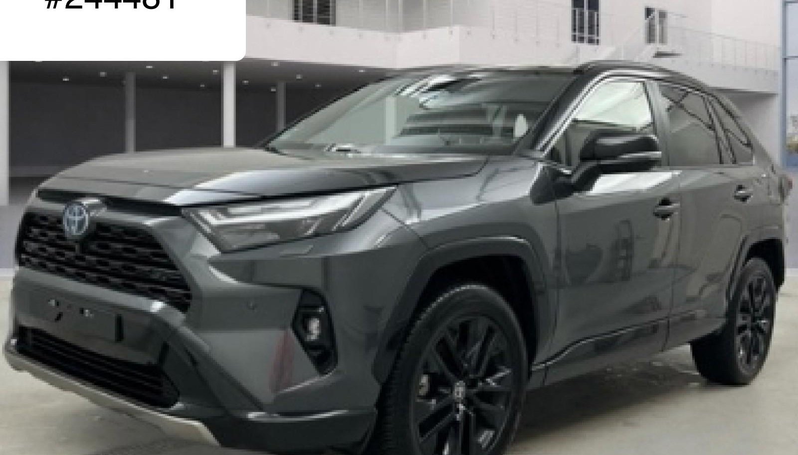 Toyota RAV Style
