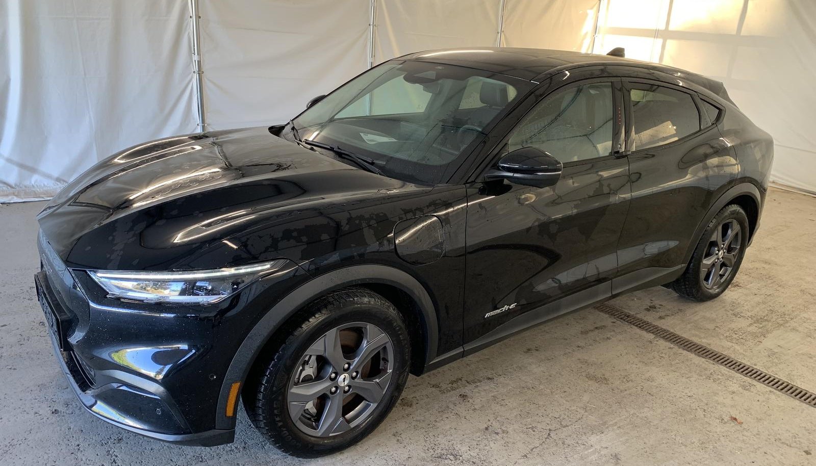 Ford Mustang Standard Range