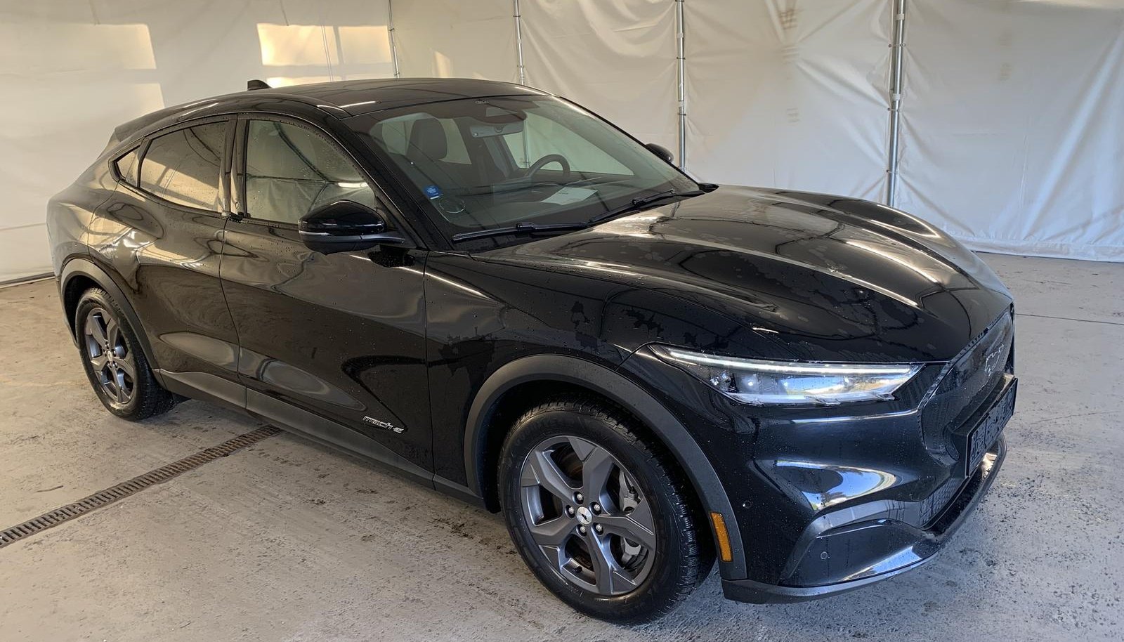 Ford Mustang Standard Range 2