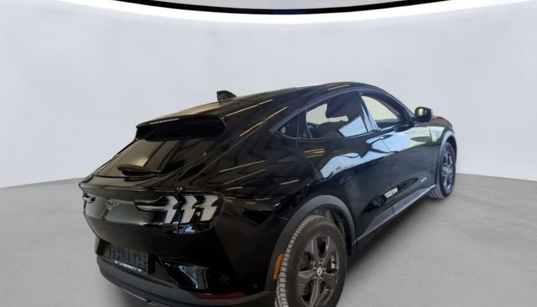 Ford Mustang MACH-E 4