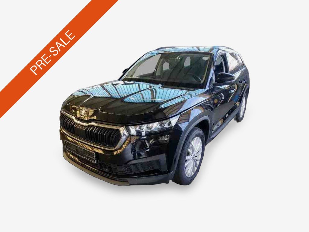 Skoda Kodiaq 2.0 TDI Ambition NAVI SHZ PDC LED AHK