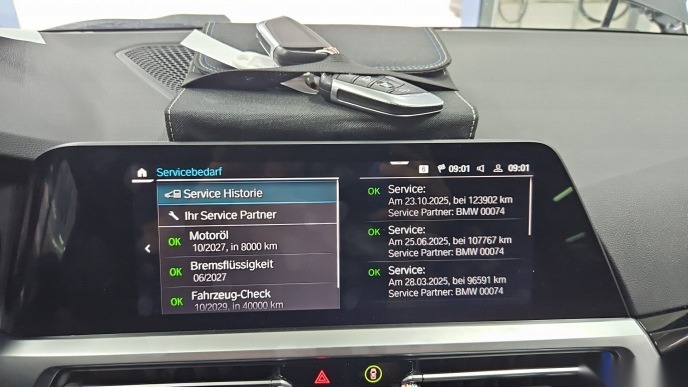 BMW 320e Touring Sport-Line T-Leder Navi LED Shz AHK 10