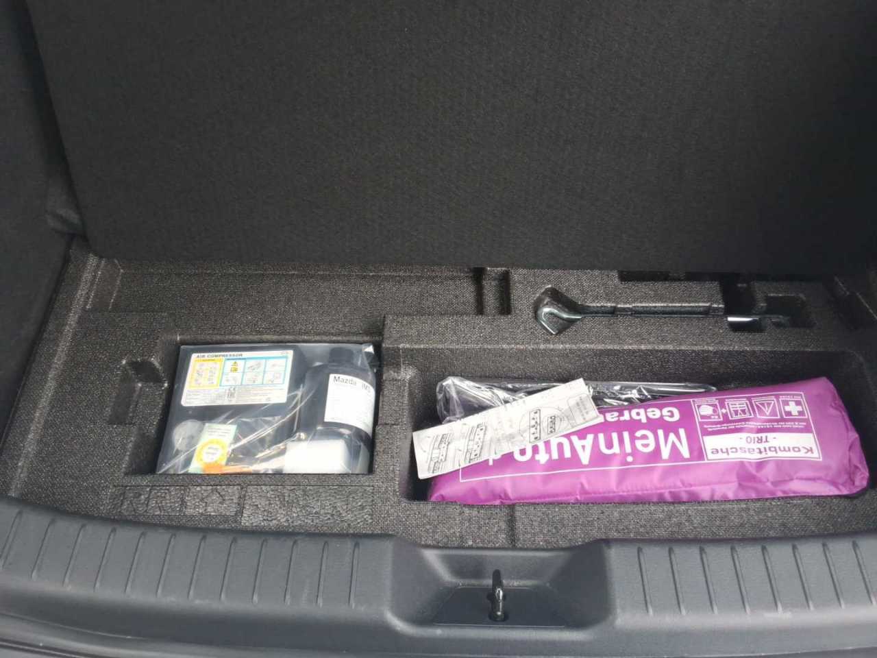 Mazda MX-30 e-Skyactiv NAVI KLIMAAUT LED RADIO AID 10