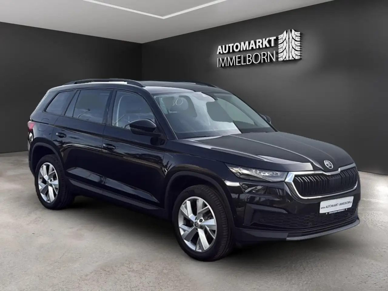 Skoda Kodiaq Tour 4x4 Kamera*19*Pano*LED*AHK*4xSHZ*DAB