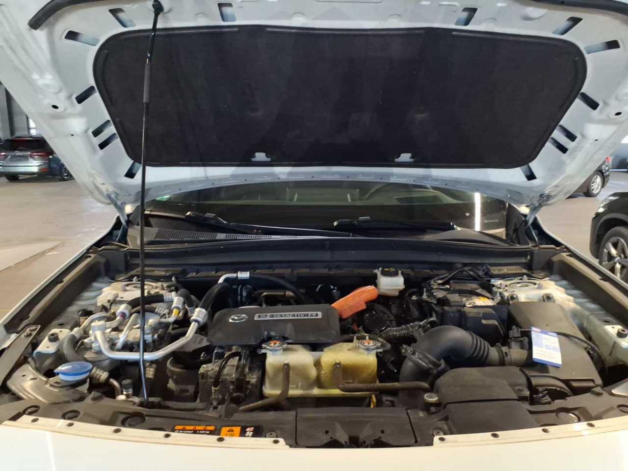 Mazda MX-30 e-Skyactiv Navi LED GSD RFK BOSE 10