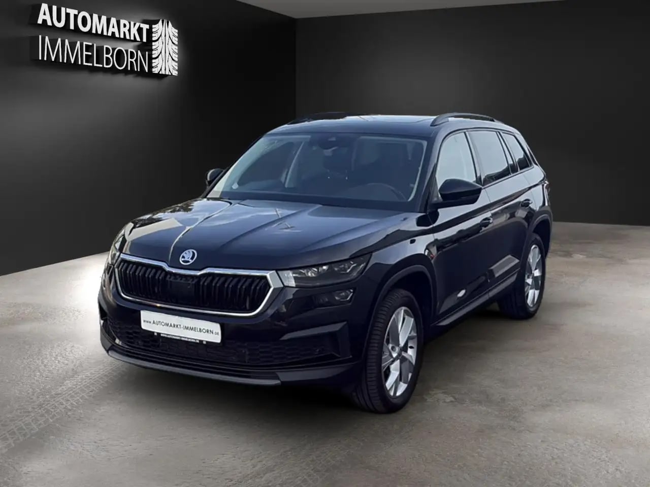 Skoda Kodiaq Tour 4x4 Kamera*19*Pano*LED*AHK*4xSHZ*DAB 3