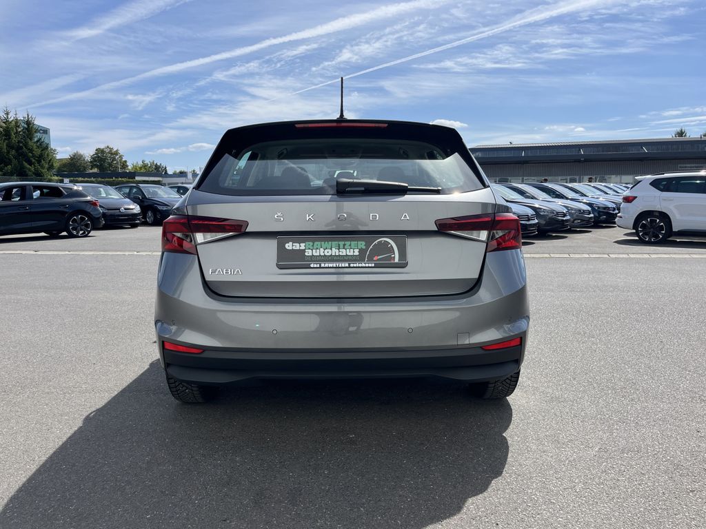 Skoda Fabia Active 1.0 Benzin 8