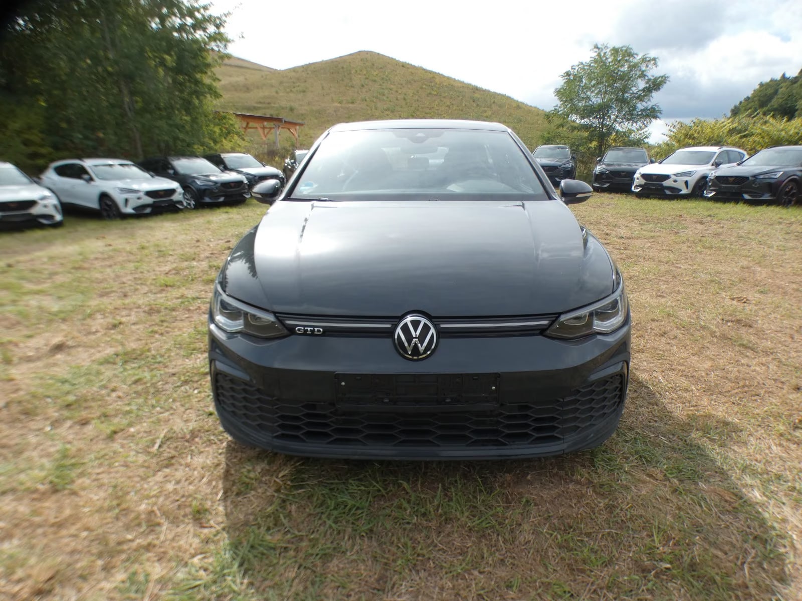 Volkswagen Golf 2.0 2024 2