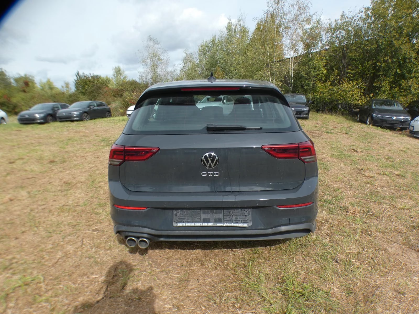 Volkswagen Golf 2.0 2024 6