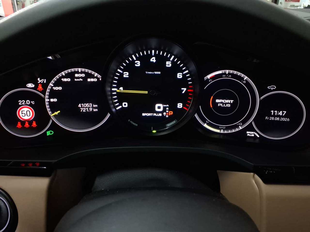 Porsche Cayenne E-Hybrid Tiptronic S Platinum Edition 11