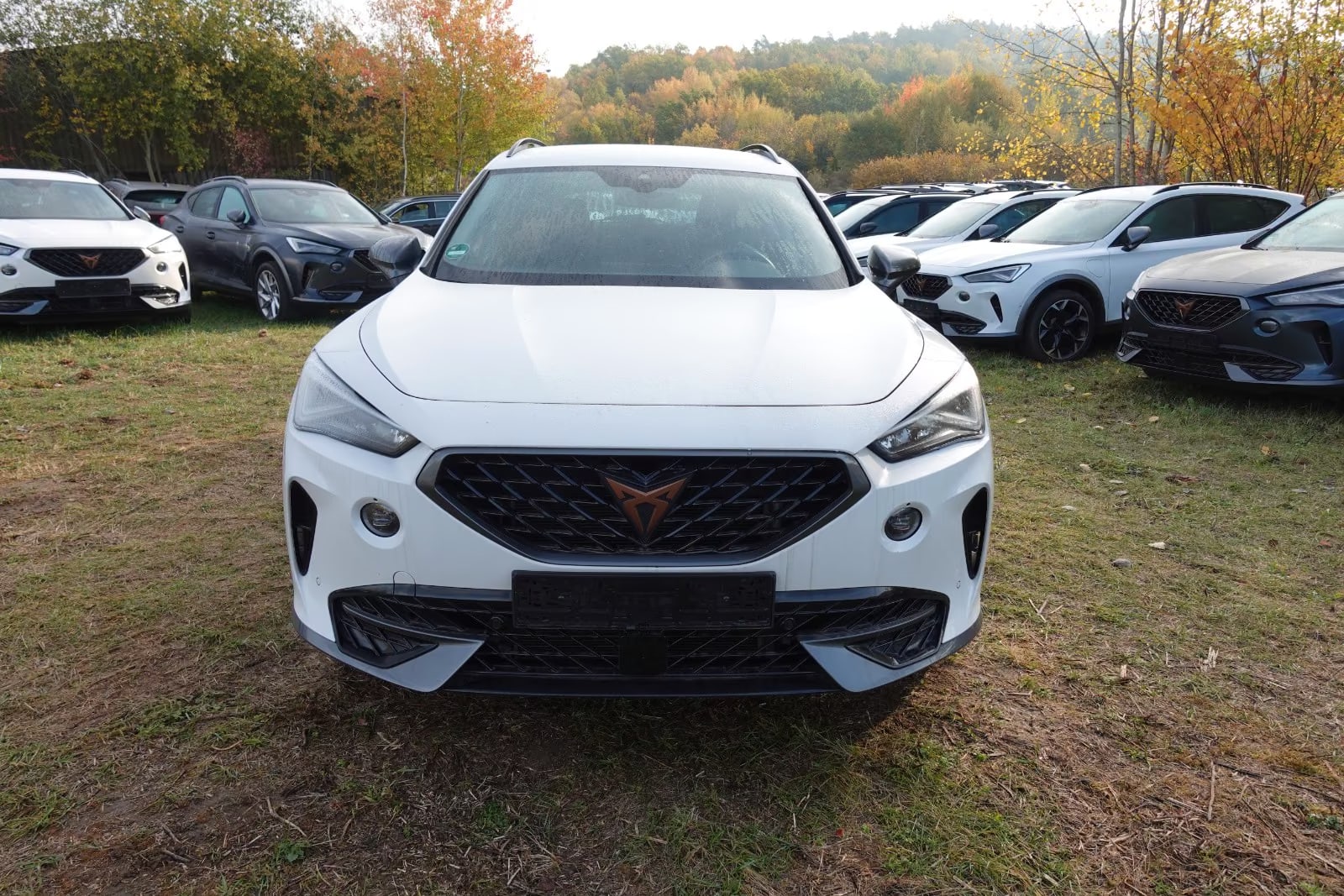 Cupra Formentor 1.4 2023 2