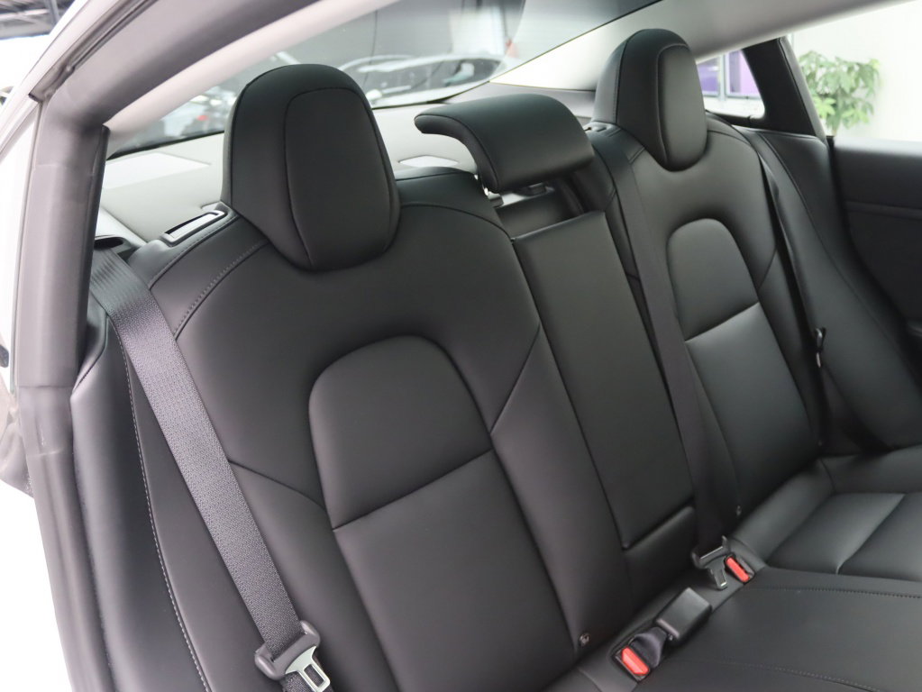 Tesla Model 3 Standard Plus RWD 14