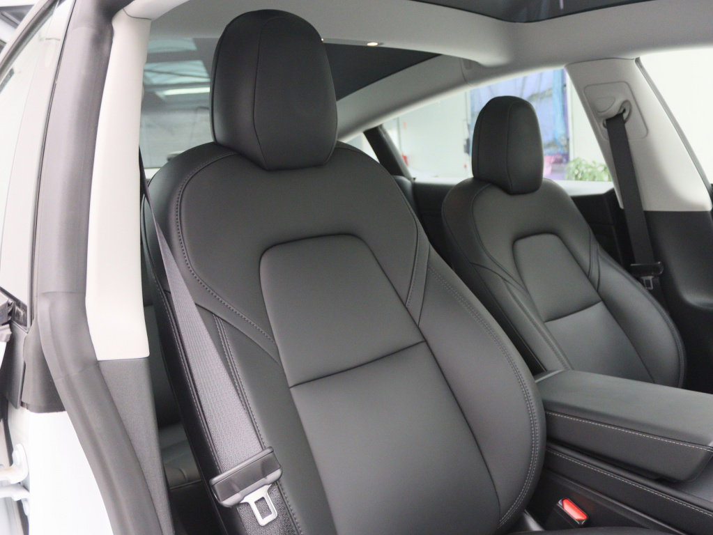 Tesla Model 3 Standard Plus RWD 16