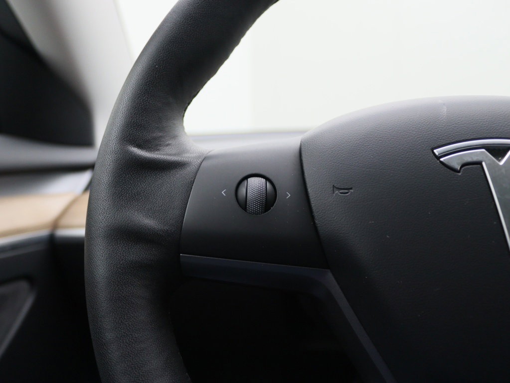 Tesla Model 3 Standard Plus RWD 21