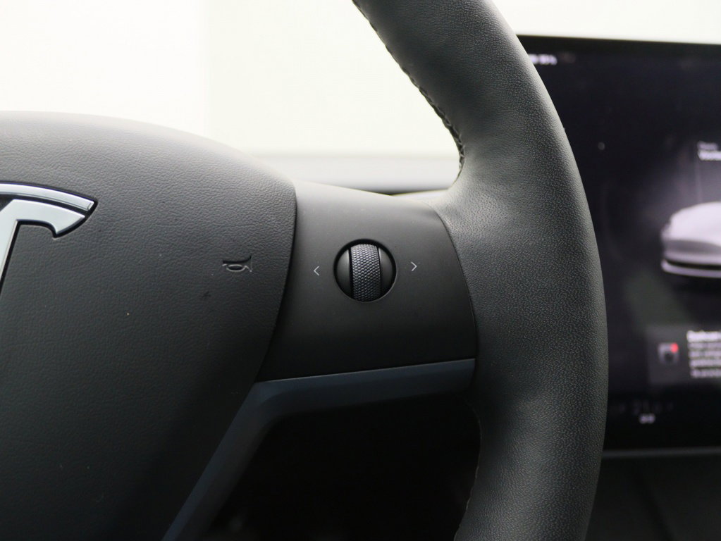 Tesla Model 3 Standard Plus RWD 22