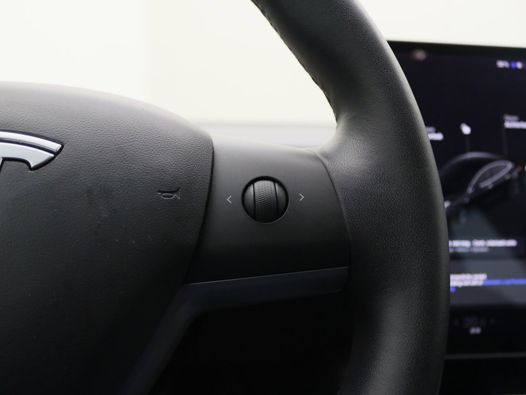 Tesla Model 3 Standard Plus RWD 22